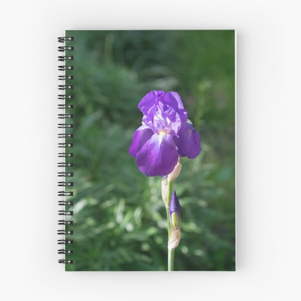 Item preview, Single Amethyst Purple German Iris Bloom designed and sold by Georgia Mizuleva.