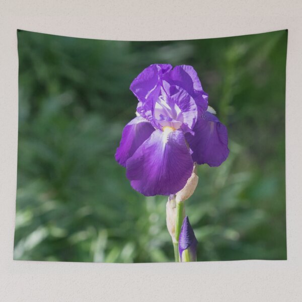 Item preview, Single Amethyst Purple German Iris Bloom designed and sold by Georgia Mizuleva.