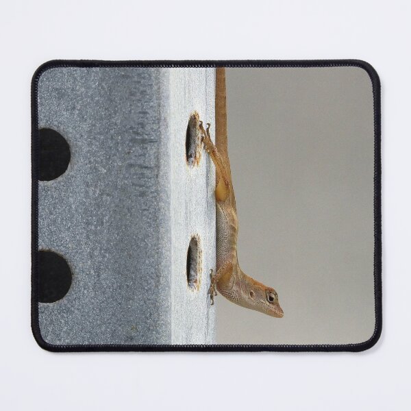 Item preview, Anole 4 designed and sold by Jeffrey Mask.