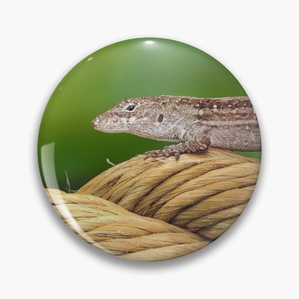 Item preview, Anole 1 designed and sold by Jeffrey Mask.