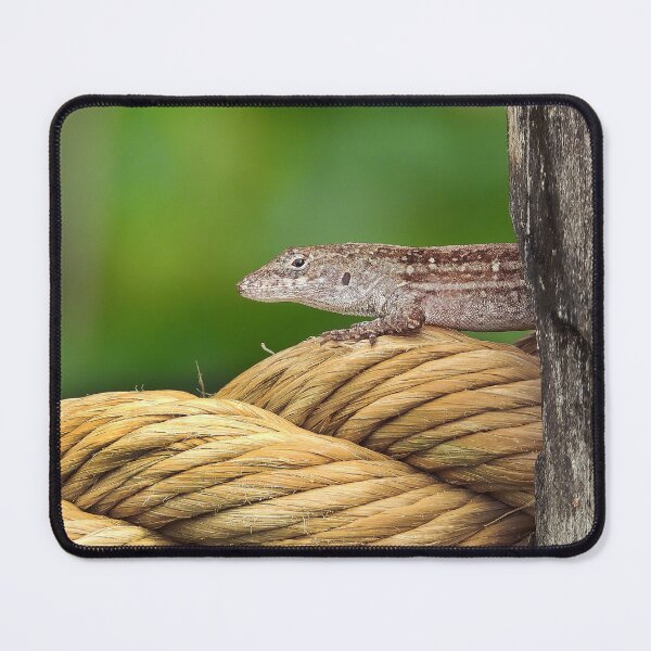 Item preview, Anole 1 designed and sold by Jeffrey Mask.