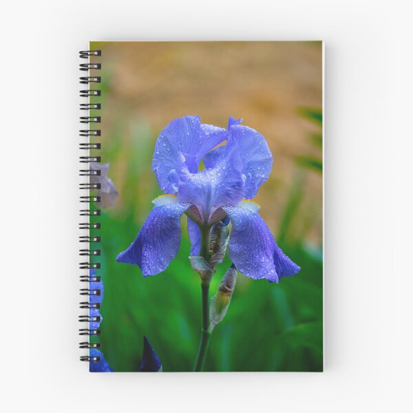 Item preview, Blue iris flower designed and sold by annasofia.