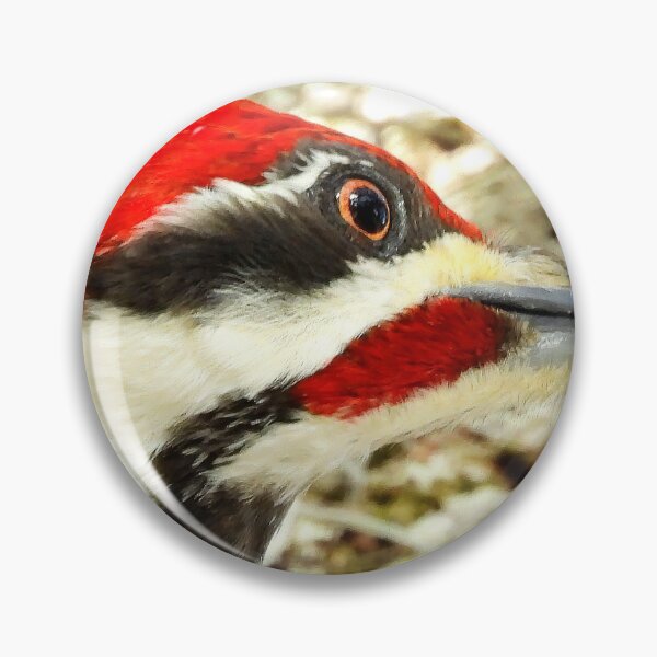 Item preview, Pileated Woodpecker 4 designed and sold by Jeffrey Mask.