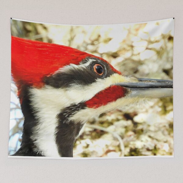 Item preview, Pileated Woodpecker 4 designed and sold by Jeffrey Mask.
