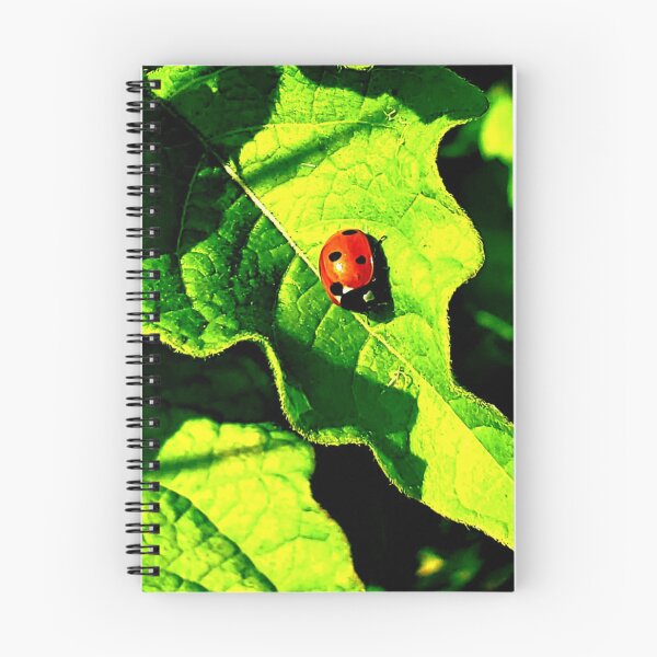 Item preview, Miss Ladybug designed and sold by Nandeeta.