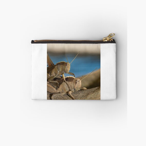 Item preview, Two locusts designed and sold by Antonio Pizarro Mendez.