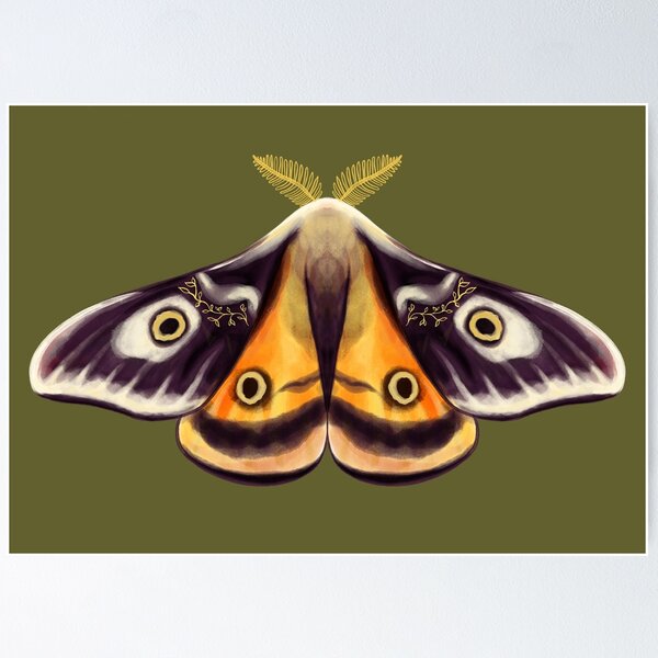 Item preview, Beautiful Moth Insect Art Goblincore designed and sold by Boriana Giormova.