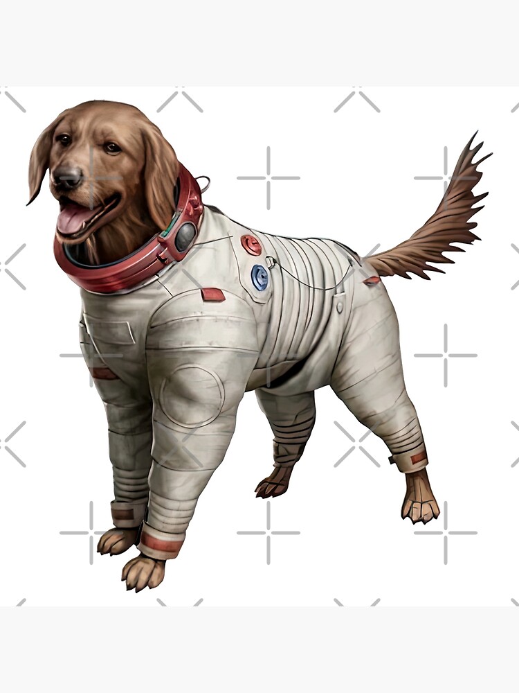 Cozmo dog 2024