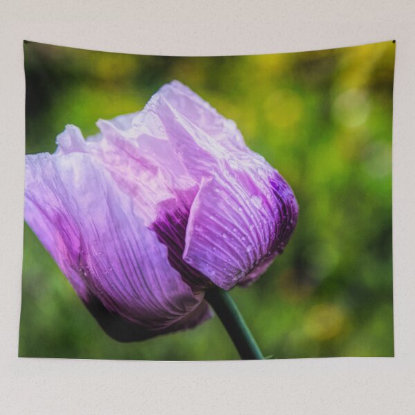 Item preview, Sweet Sweet Lilac designed and sold by Marylou Badeaux.