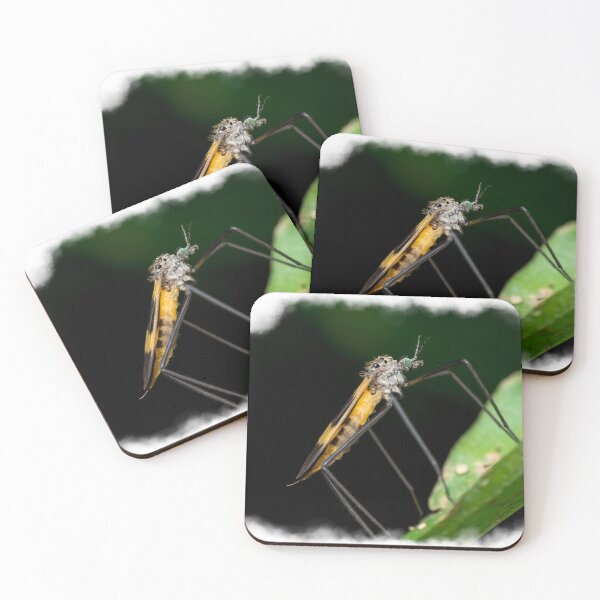 Item preview, A beautiful crane fly (Tipulidae) resting on a leaf! designed and sold by AvonPerception.