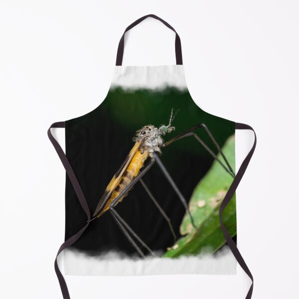 Item preview, A beautiful crane fly (Tipulidae) resting on a leaf! designed and sold by AvonPerception.