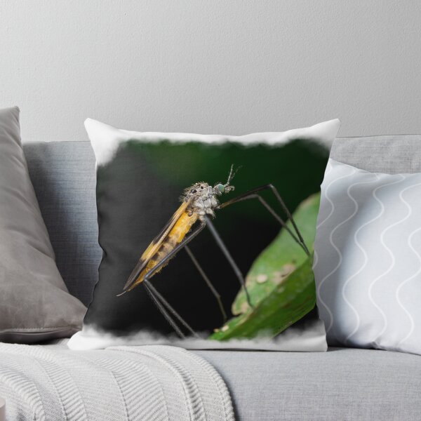 Item preview, A beautiful crane fly (Tipulidae) resting on a leaf! designed and sold by AvonPerception.