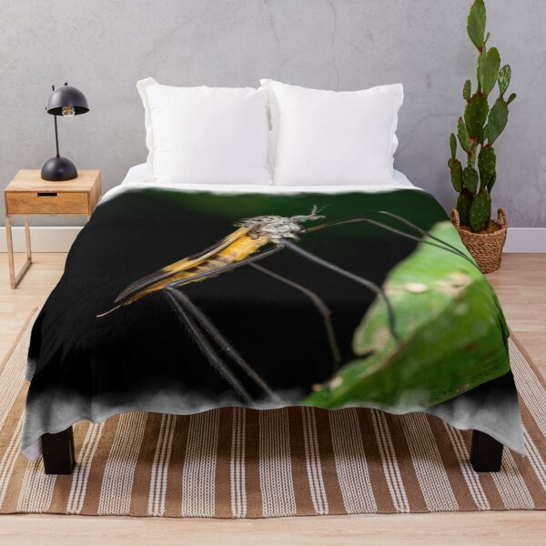 Item preview, A beautiful crane fly (Tipulidae) resting on a leaf! designed and sold by AvonPerception.