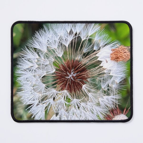 Item preview, The enchantment of weeds designed and sold by Rusty Gentry.