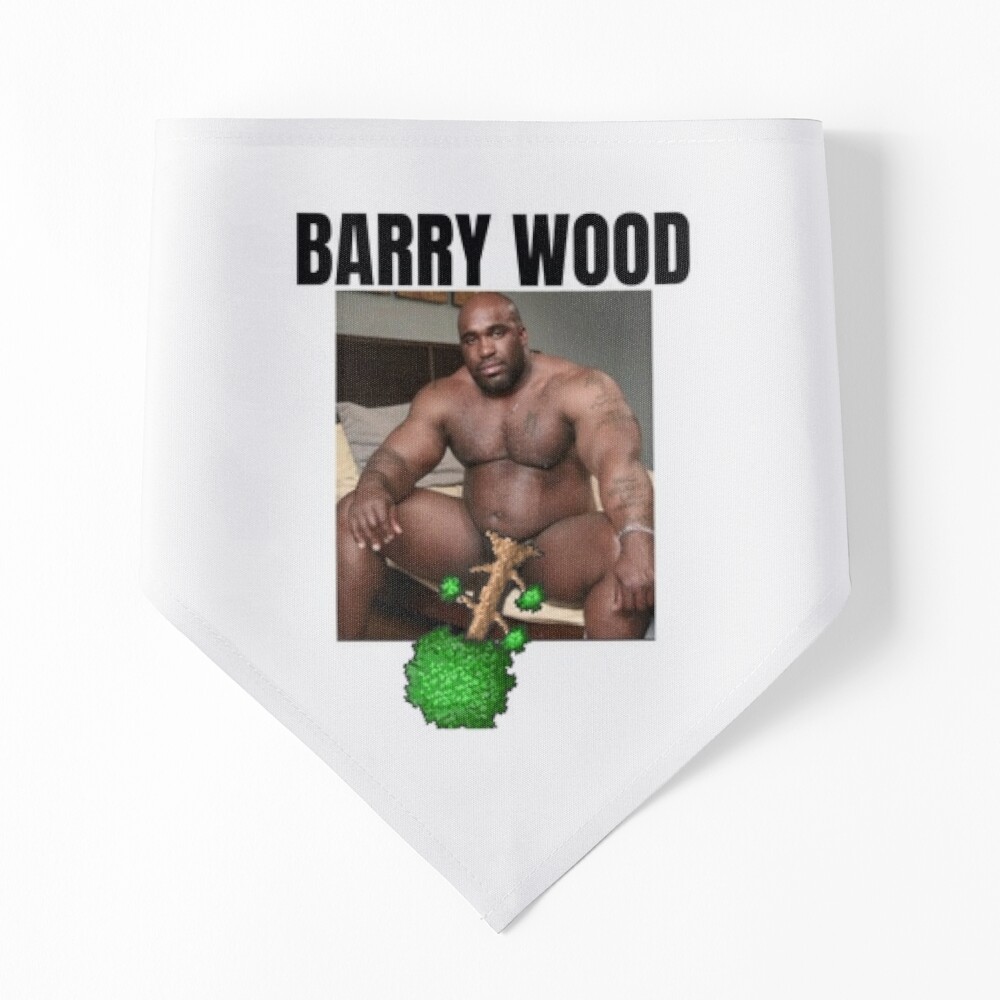 Big Dick Black Guy Meme Barry Wood (6)