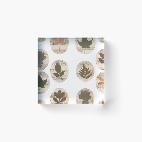 Item preview, Pressed leaves set B white designed and sold by Julianum.
