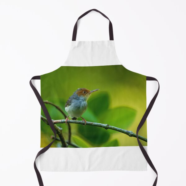 Item preview, Ashy Tailorbird designed and sold by TravellingFatmn.