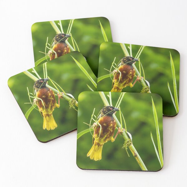 Item preview, Golden-backed Weaver designed and sold by TravellingFatmn.
