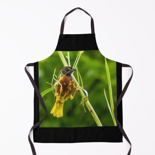 Item preview, Golden-backed Weaver designed and sold by TravellingFatmn.