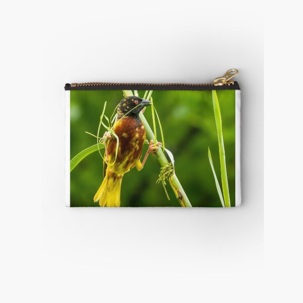 Item preview, Golden-backed Weaver designed and sold by TravellingFatmn.