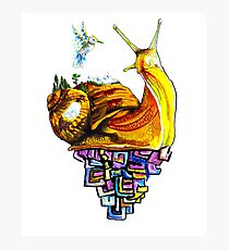 Bismuth: Hidden World Photographic Print