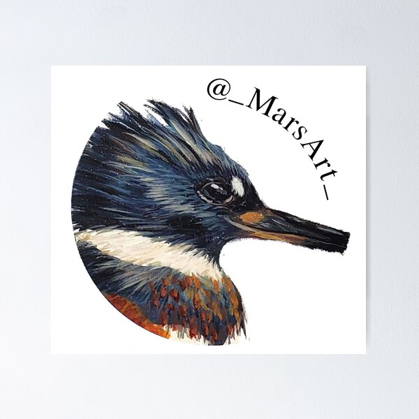 Item preview, Belted Kingfisher designed and sold by MarsArtM.