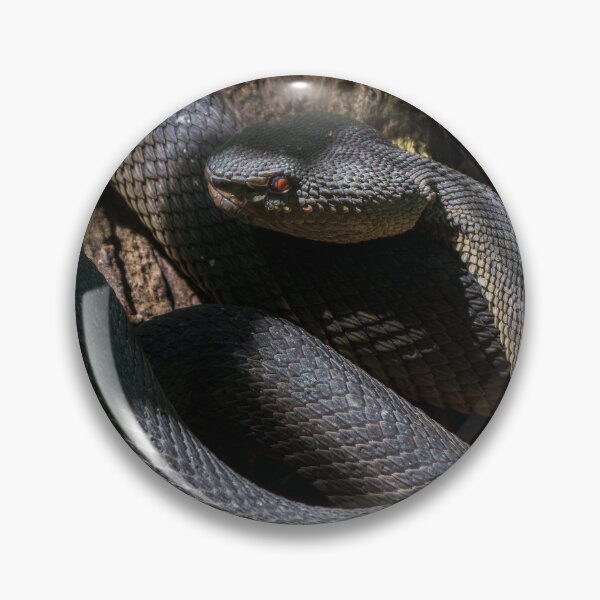 Item preview, Shore Pit Viper designed and sold by TravellingFatmn.