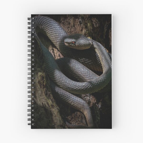 Item preview, Shore Pit Viper designed and sold by TravellingFatmn.