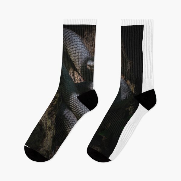 Item preview, Shore Pit Viper designed and sold by TravellingFatmn.