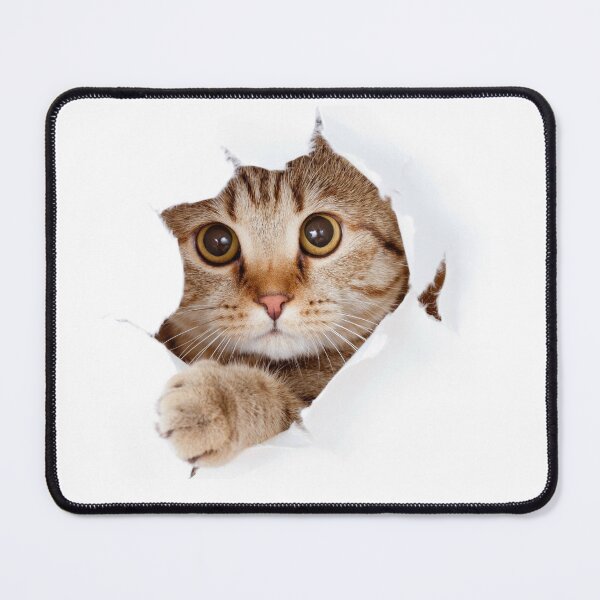 Item preview, Cattie designed and sold by KinAndOlive.