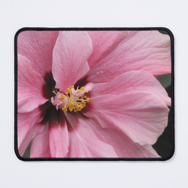 Item preview, Pink Hibiscus flower. designed and sold by coffeeflavour.