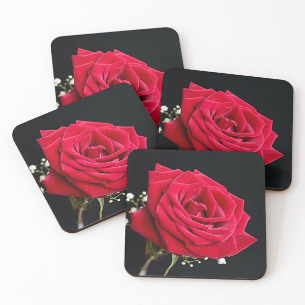 Item preview, Beaufitul, velvet red rose and and some small white flowers of gypsophila paniculata. Black background. designed and sold by coffeeflavour.