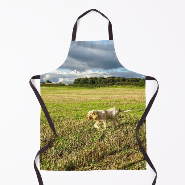 Item preview, Sunny day field walk Spinoni by heidiannemorris © designed and sold by FOLK ART FUSION by heidiannemorris.