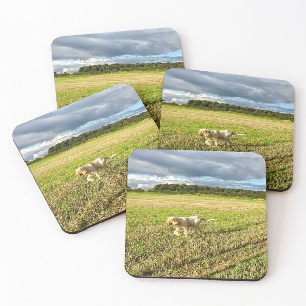 Item preview, Sunny day field walk Spinoni by heidiannemorris © designed and sold by FOLK ART FUSION by heidiannemorris.