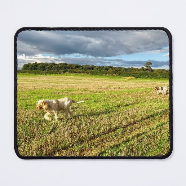 Item preview, Sunny day field walk Spinoni by heidiannemorris © designed and sold by FOLK ART FUSION by heidiannemorris.