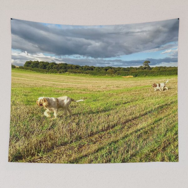 Item preview, Sunny day field walk Spinoni by heidiannemorris © designed and sold by FOLK ART FUSION by heidiannemorris.