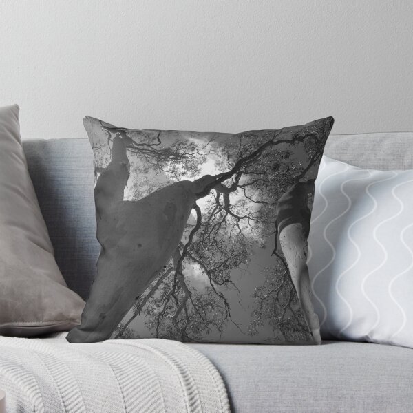 Item preview, Scary Trees- Moores Road designed and sold by Ben Loveday.