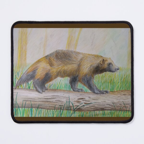 Item preview, Wolverine designed and sold by URSM.