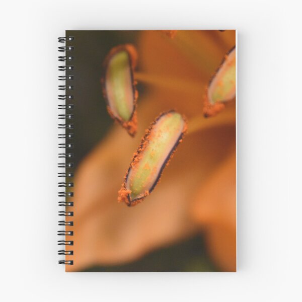 Item preview, Macro Anther with pollen designed and sold by Tonia Delozier's Photography .