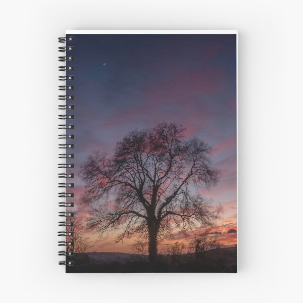 Item preview, Trees and Sunsets 2 designed and sold by JoHackman.