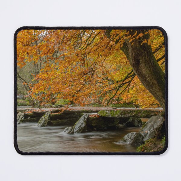 Item preview, Tarr Steps 2 designed and sold by JoHackman.