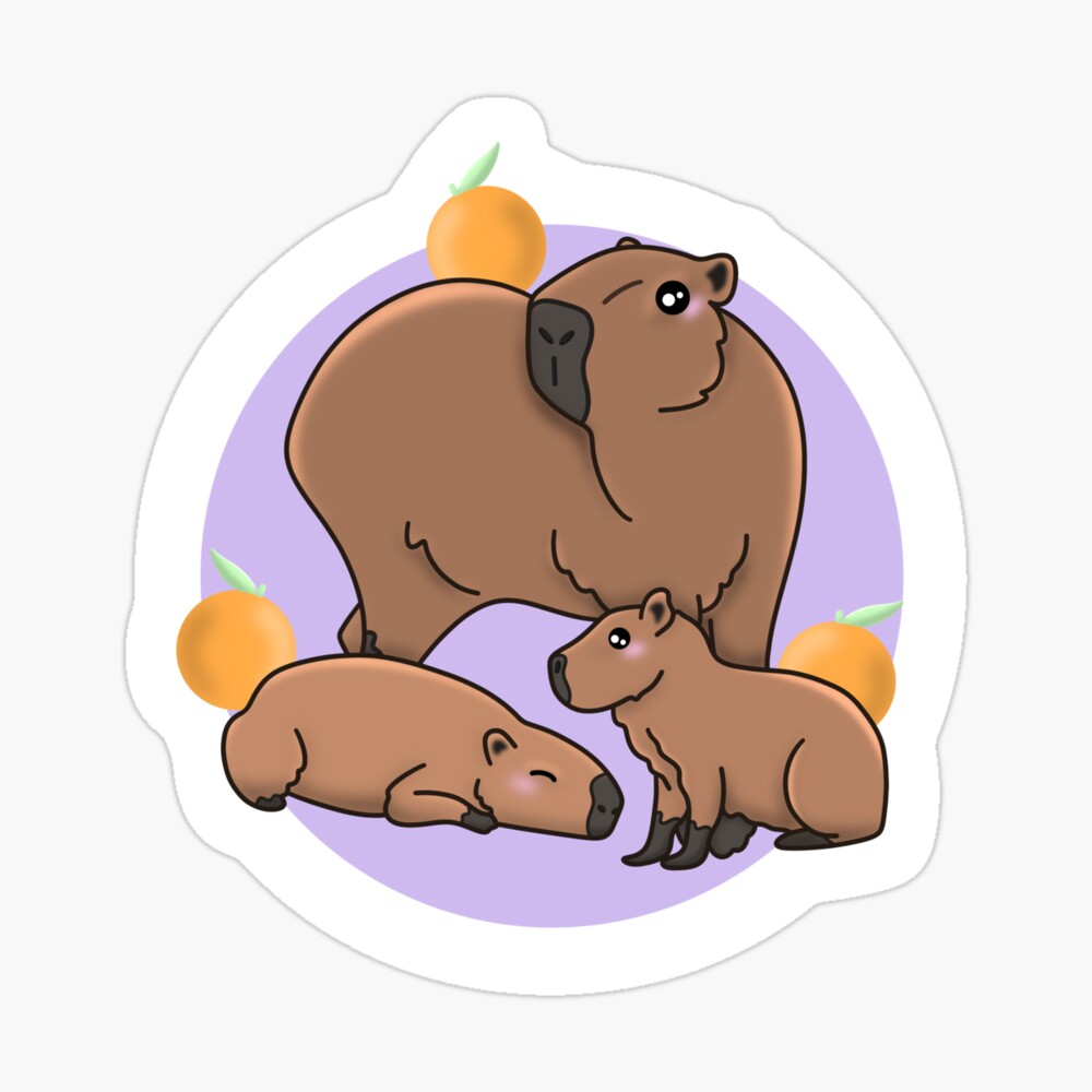 Cute funny capybara with a doughnut for capybara lovers Sticker for Sale  by Yarafantasyart in 2023