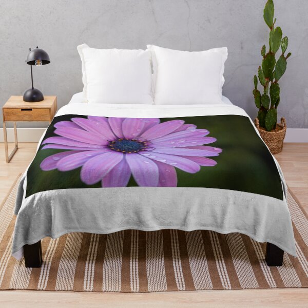 Item preview, Violet dimorphotheca flower. designed and sold by coffeeflavour.