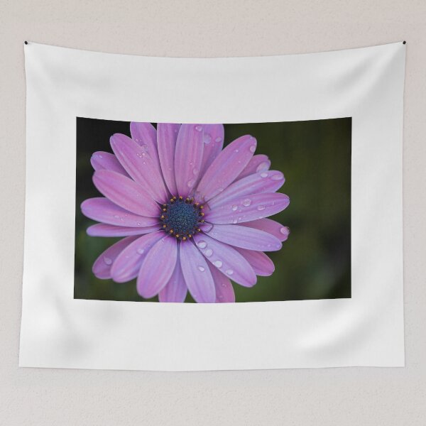 Item preview, Violet dimorphotheca flower. designed and sold by coffeeflavour.