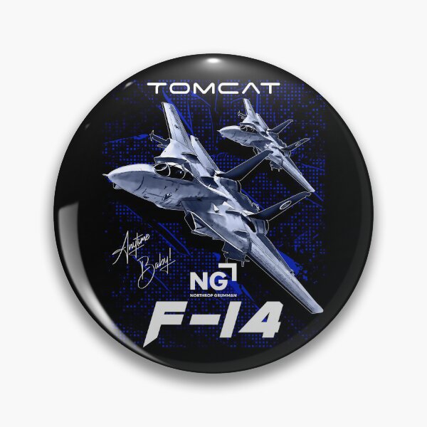Item preview, F-14 Tomcat Fighterjet designed and sold by Aerolovers.