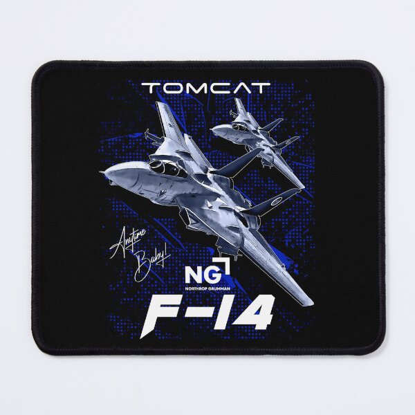 Item preview, F-14 Tomcat Fighterjet designed and sold by Aerolovers.
