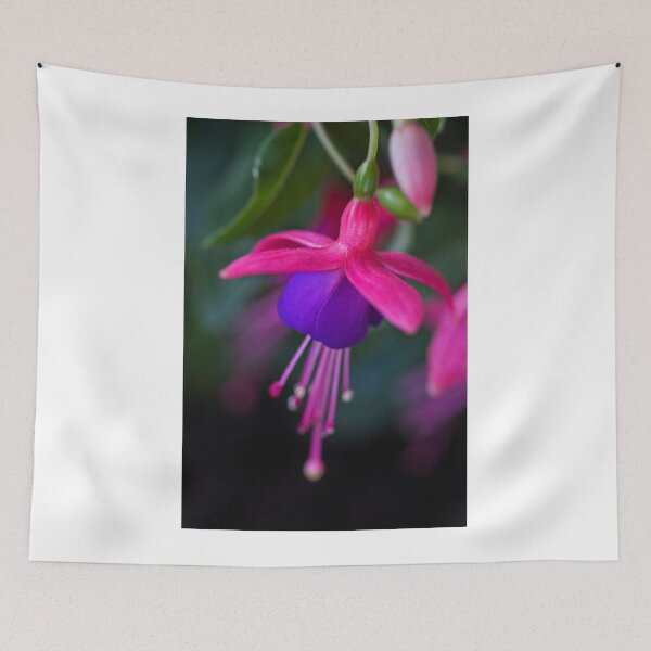Item preview, Gorgeous fuchsia flower. designed and sold by coffeeflavour.