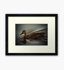 Serene Framed Print