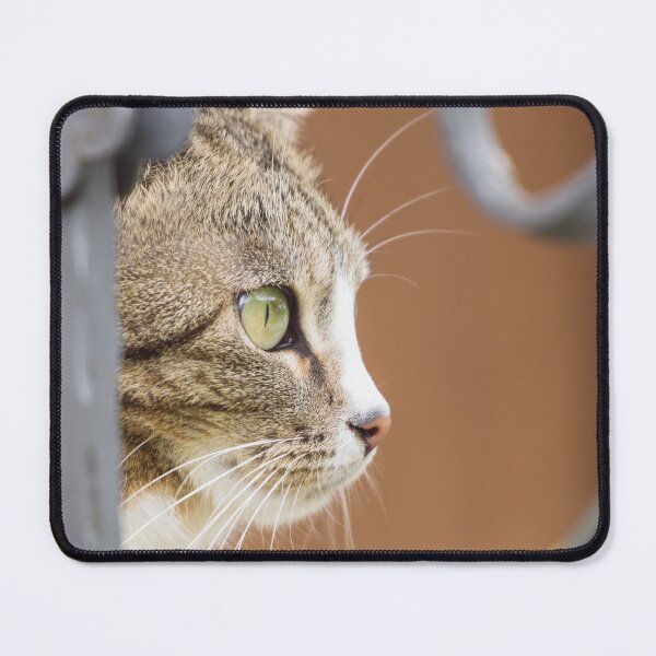 Item preview, Focused cat head portrait designed and sold by StohlerPhotos.