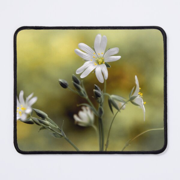Item preview, Greater Stitchwort designed and sold by JEZ22.